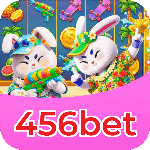Suporte 456bet